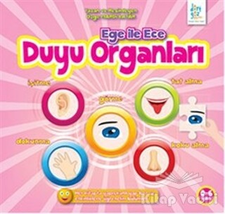 Ege ile Ece - Duyu Organları - Dörtgöz Yayınları