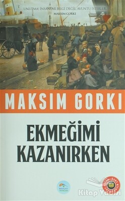 Ekmeğimi Kazanırken (Özet Kitap) - Maviçatı Yayınları