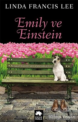 Emily ve Einstein - Eksik Parça Yayınları