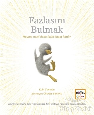 Fazlasını Bulmak - Nar Yayınları