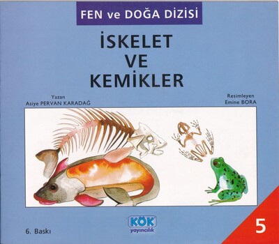 Fen ve Doğa Dizisi İskelet ve Kemikler - Kök Yayıncılık