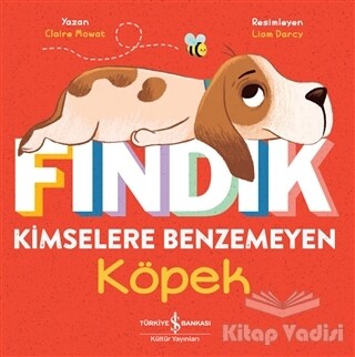 Fındık Kimselere Benzemeyen Köpek - İş Bankası Kültür Yayınları