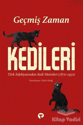 Geçmiş Zaman Kedileri - Turkuvaz Kitap