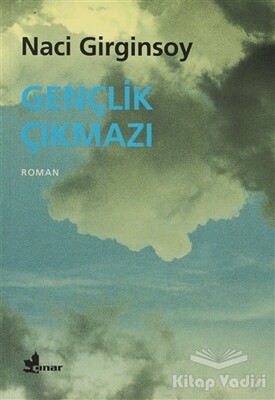 Gençlik Çıkmazı - Çınar Yayınları