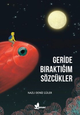 Geride Bıraktığım Sözcükler - Çınar Yayınları