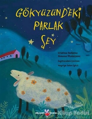 Gökyüzündeki Parlak Şey - Okuyan Koala