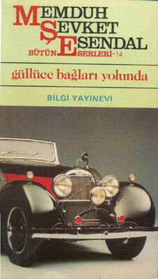 Güllüce Bağları Yolunda - Bilgi Yayınevi