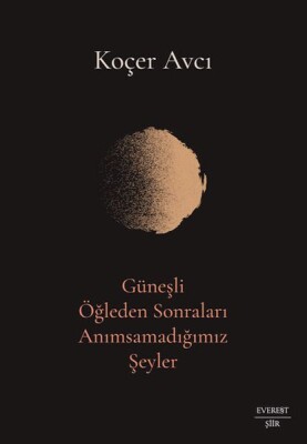 Güneşli Öğleden Sonraları Anımsamadığımız Şeyler - Everest Yayınları