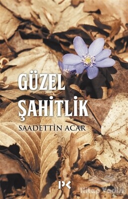 Güzel Şahitlik - Profil Kitap