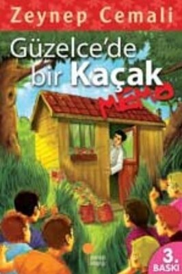 Güzelce’de Bir Kaçak, Memo - Günışığı Kitaplığı