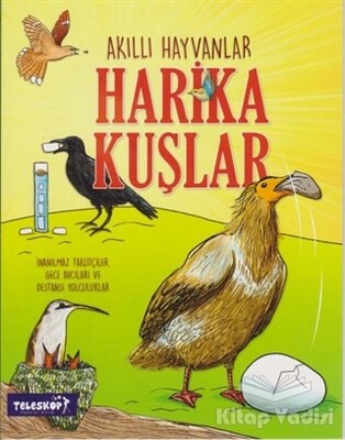 Harika Kuşlar - Teleskop