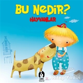 Hayvanlar - Bu Nedir? - Çakıl Gülen Yüz