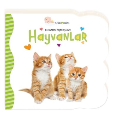 Hayvanlar - Sözcükleri Keşfediyorum - Beta Kids