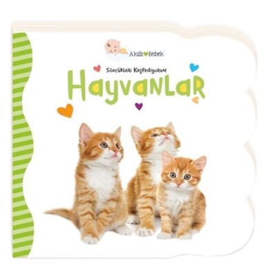 Hayvanlar - Sözcükleri Keşfediyorum - 1