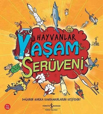Hayvanlar - Yaşam Serüveni - İş Bankası Kültür Yayınları