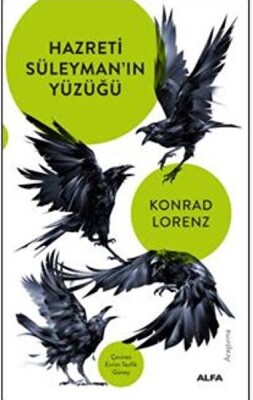 Hazreti Süleyman'ın Yüzüğü - Alfa Yayınları