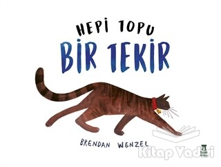 Hepi Topu Bir Tekir - Taze Kitap