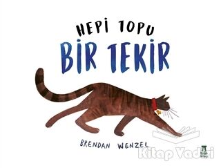 Hepi Topu Bir Tekir - 1