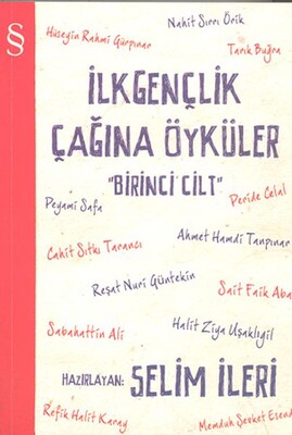 İlk Gençlik Çağına Öyküler Cilt:1 - Everest Yayınları