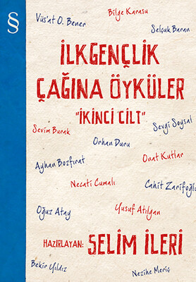 İlk Gençlik Çağına Öyküler 2. Cilt - Everest Yayınları