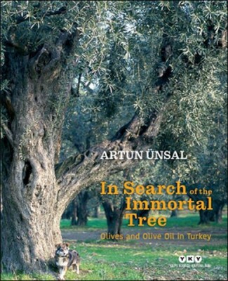 In Search Of The Immortal Tree/ Olives and Olive Oil in Turkey (Ölmez Ağacın Peşinde-İngilizce) - Yapı Kredi Yayınları
