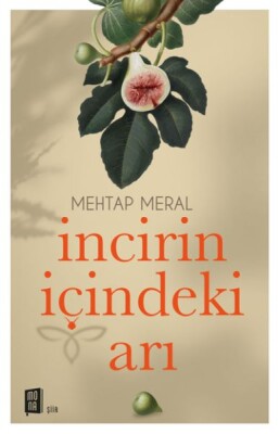 İncirin İçindeki Arı - Mona Kitap