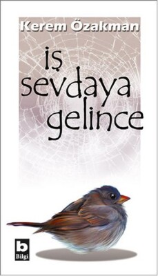 İş Sevdaya Gelince - Bilgi Yayınevi