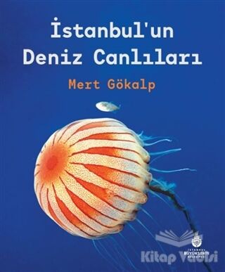 İstanbul'un Deniz Canlıları - 1