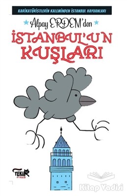 İstanbul'un Kuşları - Tekir Kitap