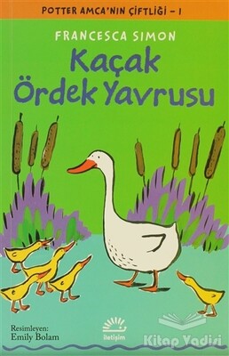 Kaçak Ördek Yavrusu - İletişim Yayınları