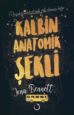 Kalbin Anatomik Şekli - Novella Dinamik