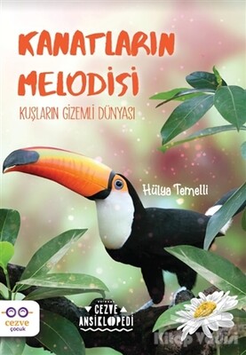 Kanatların Melodisi - Cezve Çocuk