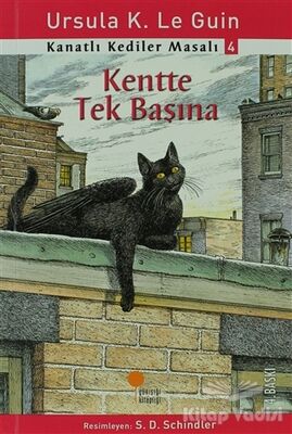 Kanatlı Kediler Masalı 4 - Kentte Tek Başına - 1