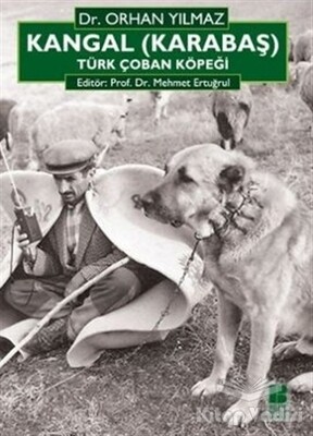 Kangal (Karabaş) Türk Çoban Köpeği - Bilge Kültür Sanat