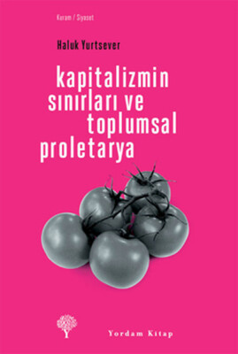 Kapitalizmin Sınırları ve Toplumsal Proletarya - Yordam Kitap