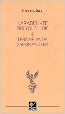 Kara Delikte Bir Yolculuk ve Tersine ya da Sapkın Ayetler - Kaynak (Analiz) Yayınları