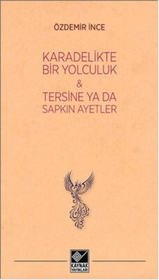 Kara Delikte Bir Yolculuk ve Tersine ya da Sapkın Ayetler - 1