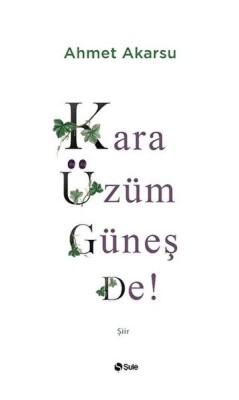 Kara Üzüm Güneş De - Şule Yayınları