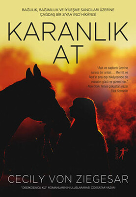 Karanlık At - Artemis Yayınları