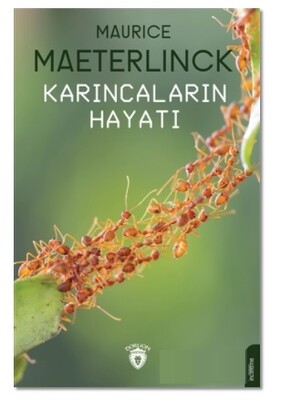 Karıncaların Hayatı - Dorlion Yayınları