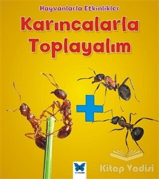Karıncalarla Toplayalım - Mavi Kelebek Yayınları