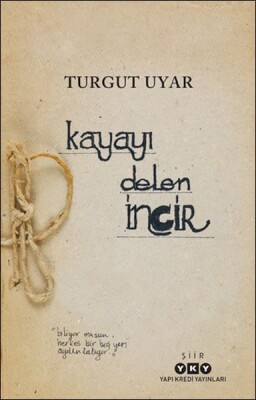 Kayayı Delen İncir - Yapı Kredi Yayınları