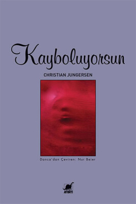 Kayboluyorsun - Ayrıntı Yayınları