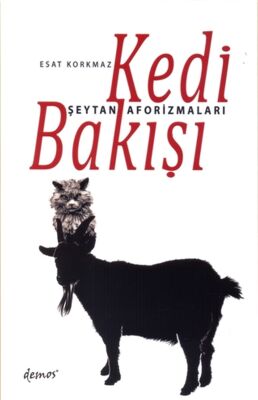 Kedi Bakışı - 1