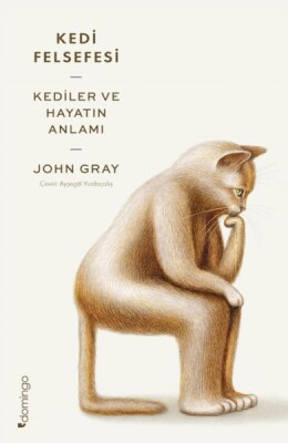 Kedi Felsefesi - Domingo Yayınevi