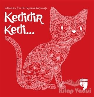 Kedidir Kedi... - 1