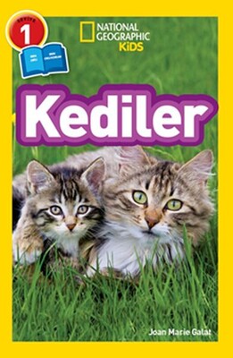Kediler - Beta Kids