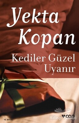 Kediler Güzel Uyanır - Can Sanat Yayınları