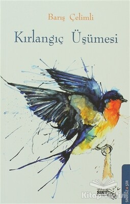 Kırlangıç Üşümesi - Sınırsız Kitap