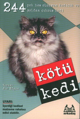 Kötü Kedi - Arkadaş Yayınları